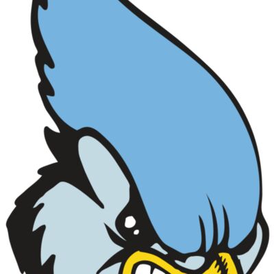 BAW BLUEJAY 05 RC Thumbnail