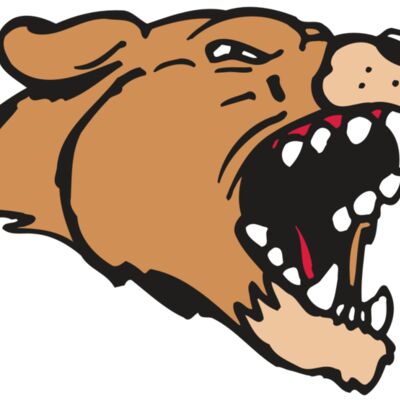 AR5 COUGAR 33 RQC Thumbnail