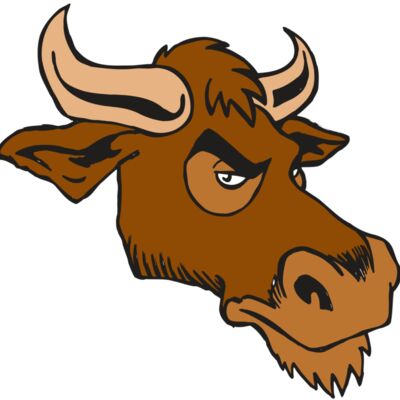 AR5 Bull 06 RQC Thumbnail