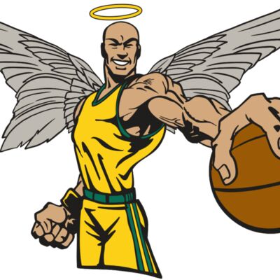 AR17 ANGEL BSKT 06 RQC Thumbnail