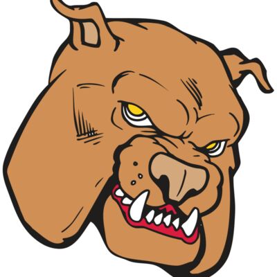 AR BDOG 41 RC Thumbnail