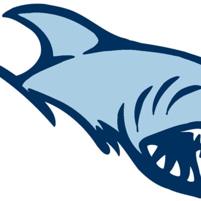 AR5 Shark 03 RQC Thumbnail