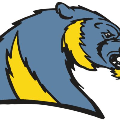 AR5 Wolverine 20 RQC Thumbnail