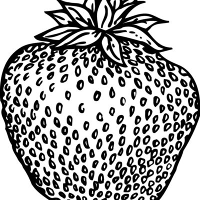 FRUIT008 Thumbnail